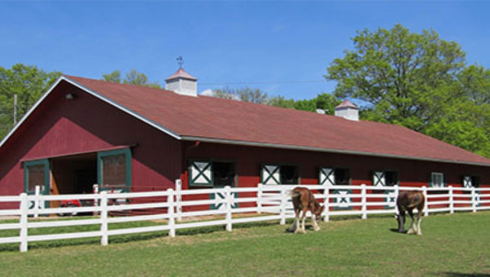 coco coir reptile bedding