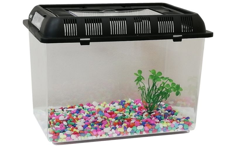 plastic snake vivarium